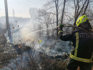 Первые весенние возгорания мусора и сухой травы фиксируют в Липецке