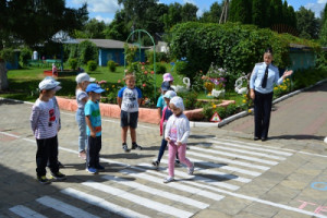 В Липецкой области обучению малышей основам дорожной безопасности помогает наглядность