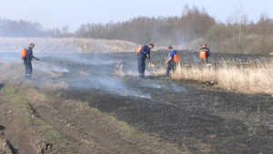 Липчан призывают воздержаться от использования открытого огня в условиях чрезвычайной пожароопасности