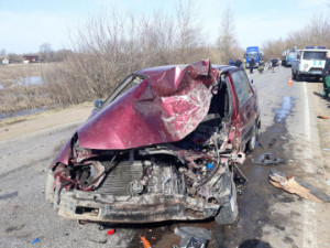 В прошедшие сутки на территории Липецкой области было зарегистрировано семь дорожно-транспортных происшествий, в которых пострадали двеадцать человек.