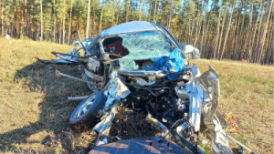 В Грязинском районе из-за выезда на встречную полосу  погиб пассажир иномарки