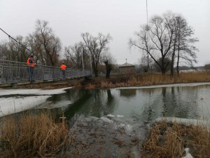 Уровень воды в реке Воронеж в Липецке на полметра ниже средних многолетних значений