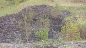 Семьдесят процентов апрельских возгораний в Липецке приходится на долю мусора и сухой травы