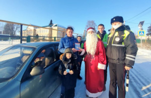Новогодние патрули липецких автоинспекторов призывают автомобилистов к неукоснительному соблюдению ПДД