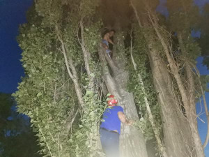Снимать с дерева незадачливого «Бэтмена» пришлось липецким спасателям
