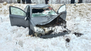 В Грязинском районе погиб водитель съехавшей с дороги иномарки