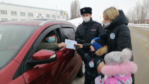 В Липецкой области рейдовые группы дорожных полицейских, педагогов и родителей пропагандируют транспортную культуру