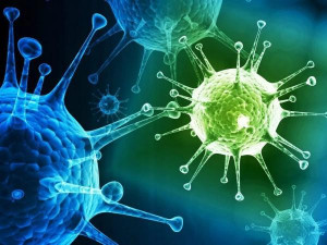 В регионе усиливают меры по предупреждению распространения коронавирусной инфекции