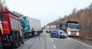 В Данковском районе в столкновении с грузовиком пострадала женщина – водитель «Шкоды»