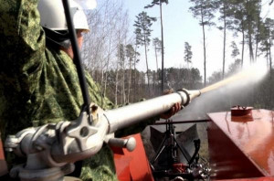 В Липецкой области сохраняется высокая пожароопасность лесов