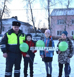 В Липецкой области родительские патрули вручали законопослушным пешеходам зеленые шары