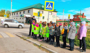 Медики, сотрудники МФЦ и сферы культуры Липецкой области присоединились к пропаганде детской безопасности на дорогах