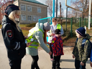 В Липецкой области родительские патрули обеспечивают безопасность школьников на дороге