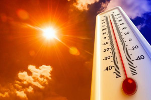 На территории региона прогнозируют 35-градусную жару