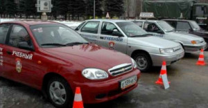 В Липецкой области начинающие водители окажутся под пристальным вниманием Госавтоинспекции