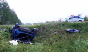 В Лебедянском районе в перевернувшейся иномарке пострадал пассажир