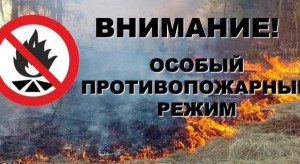 В Липецке установлен особый противопожарный режим