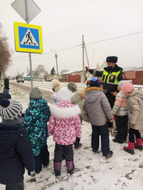 В Липецкой области юные инспекторы обучают первоклассников, а сотрудники ГИБДД - воспитанников детских садов