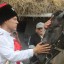 Фестиваль "Казачья застава" собрал любителей казачьей культуры (ФОТО) 37