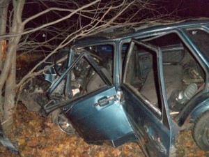 В Лебедянском районе «девяносто девятая» врезалась в дерево, водитель и пассажир госпитализированы