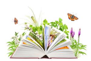 Подведены итоги городского конкурса липецких библиотек  по экологическому просвещению населения