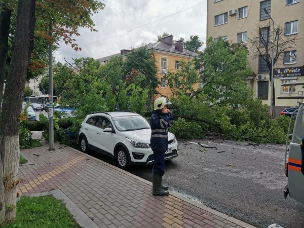 Городские спасатели оперативно освободили проезд по улице Советской от упавшего на дорогу дерева