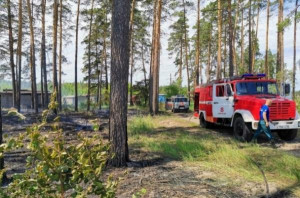 Особый противопожарный режим на территории Липецка введён до 30 июня
