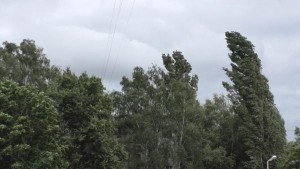 Порывы ветра в Липецке 6 октября могут достигать 17 метров в секунду
