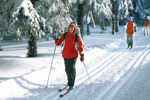 Парк Победы приглашает на соревнование по скандинавской ходьбе и лыжный кросс
