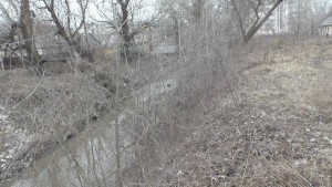 Максимальный уровень подъема воды в реке Воронеж ожидается в начале апреля