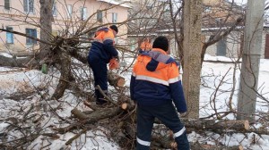 Городские спасатели освободили вход в подъезд от упавшего дерева