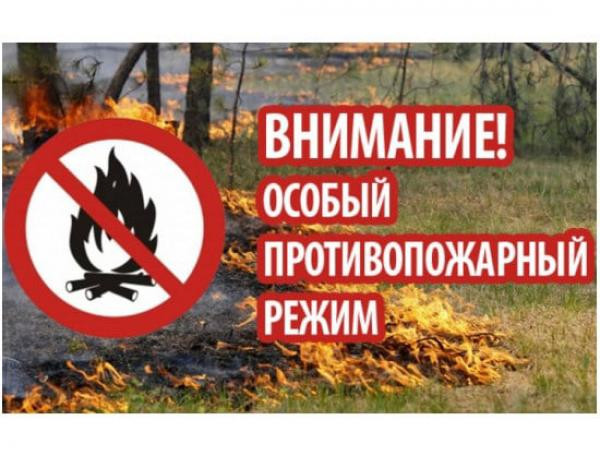 Особый противопожарный режим на территории Липецкой области вводится с 11 июня