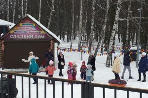 Ростовые куклы, игры и конкурсы: программы для детей в липецких парках
