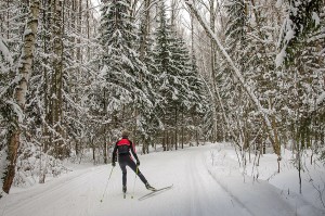 В Добровском районе прошла первая лыжная гонка памяти Юрия Журавеля