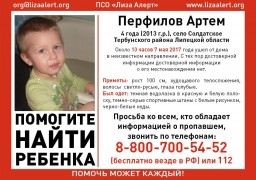 В Липецкой области пропал 4-летний ребенок