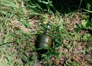 Обнаруженная возле мусоропровода граната стала самым серьезным ЧП недели по версии липецких спасателей