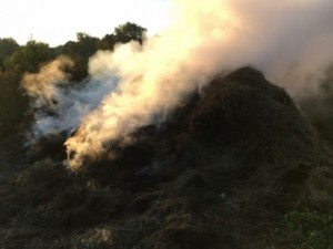 В Становлянском районе сгорело две тонны сена