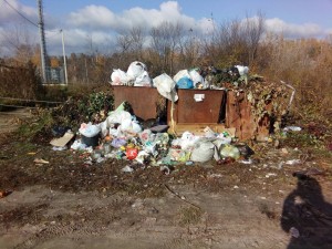 В Задонске несколько месяцев не вывозят мусор
