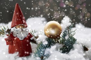 В Липецкой области представили туристическую программу новогодних и рождественских праздников
